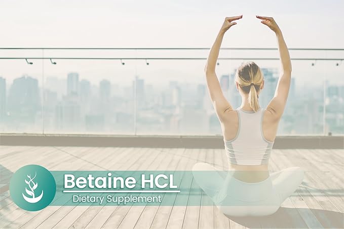 PURE ORIGINAL INGREDIENTS Betaine HCL, (100 Capsules) Always Pure, No Additives Or Fillers, Lab Verified