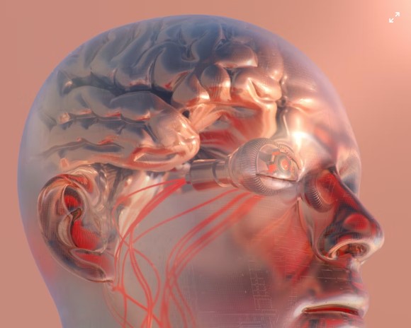 Brain & Focus